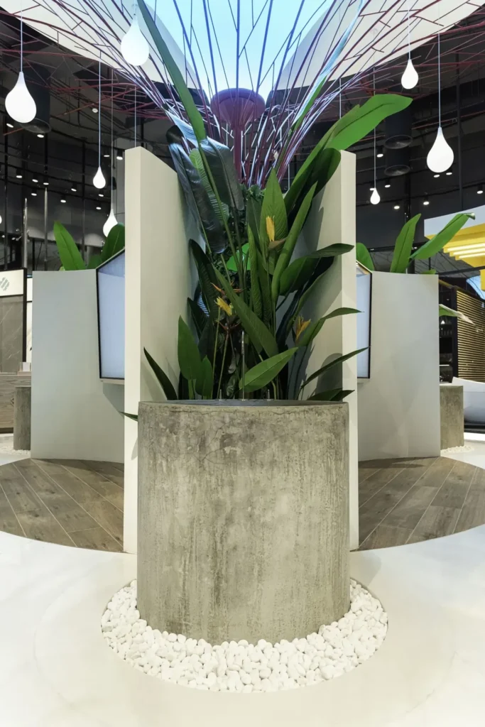 Sara Group, SZR, Dubai